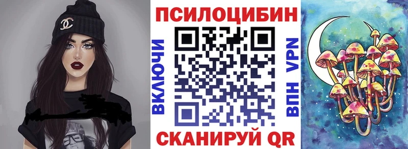 закладка  Тихвин  Галлюциногенные грибы GOLDEN TEACHER 