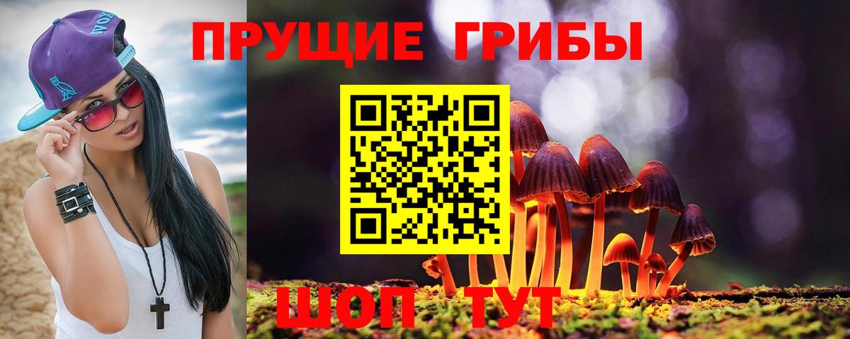 Галлюциногенные грибы MAGIC MUSHROOMS Тихвин
