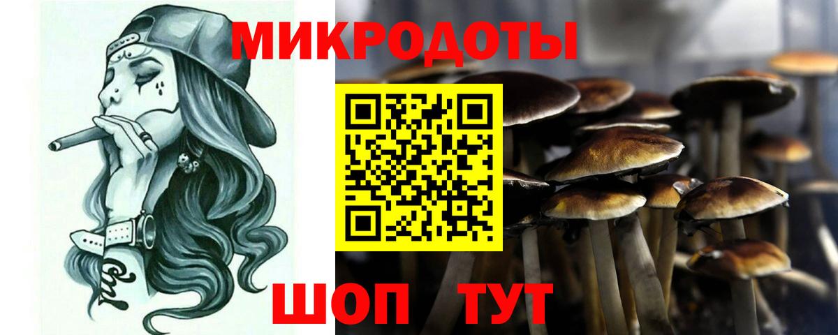 Псилоцибиновые грибы Cubensis  Вход с VPN  Тихвин 