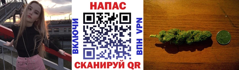 как найти закладки  Тихвин  Канабис White Widow 