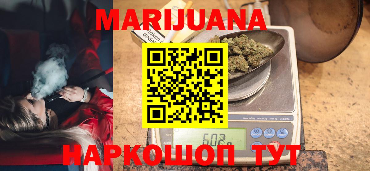 Конопля сатива Тихвин